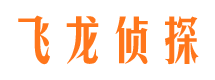 平陆婚外情调查